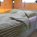 Luxe Safaritenten Petit013 - Nieuw Luxury tent *