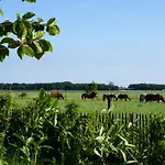Campo de lujo Luxe Safaritenten Petit013 - Nieuw *