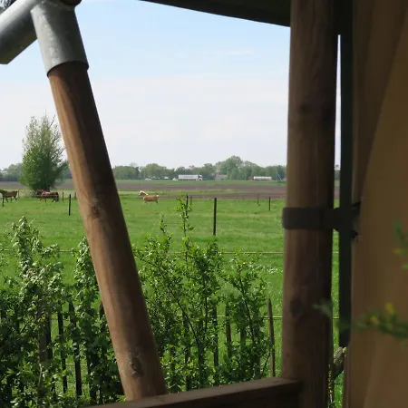 럭셔리텐트 Luxe Safaritenten Petit013 - Nieuw