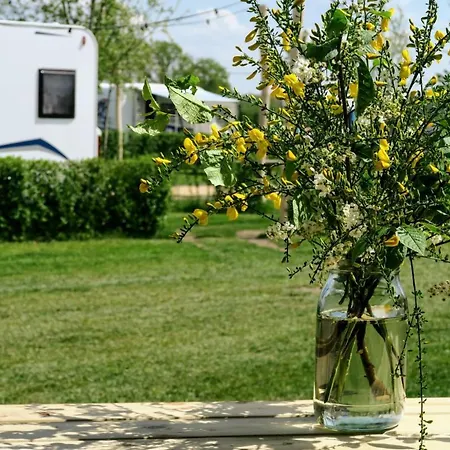 Luxe Safaritenten Petit013 - Nieuw Tilburg