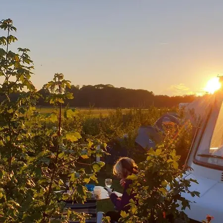 Luxe Safaritenten Petit013 - Nieuw Luxury tent *