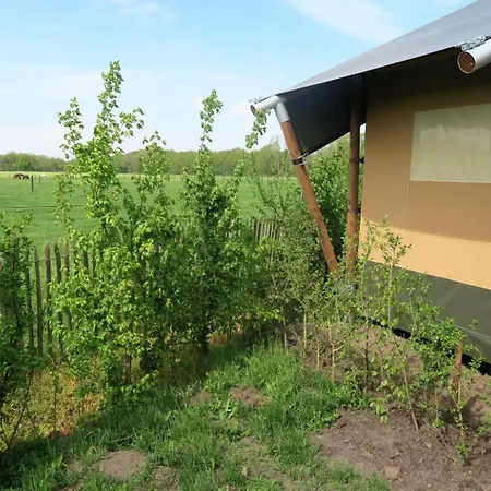 Luxury tent Luxe Safaritenten Petit013 - Nieuw