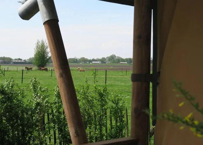 Lüks kamp alanı Luxe Safaritenten Petit013 - Nieuw