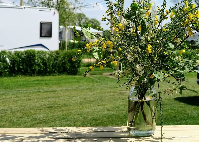 Luxe Safaritenten Petit013 - Nieuw Tilburg