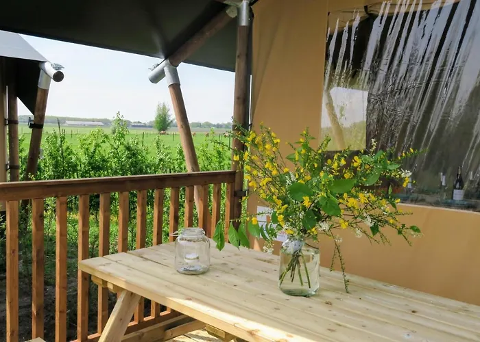 Luxe Safaritenten Petit013 - Nieuw Lüks kamp alanı Tilburg