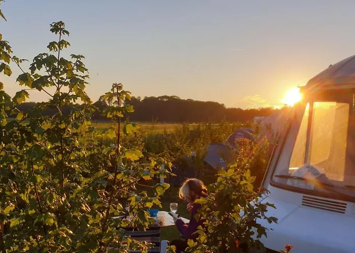 Luxe Safaritenten Petit013 - Nieuw Lüks kamp alanı *