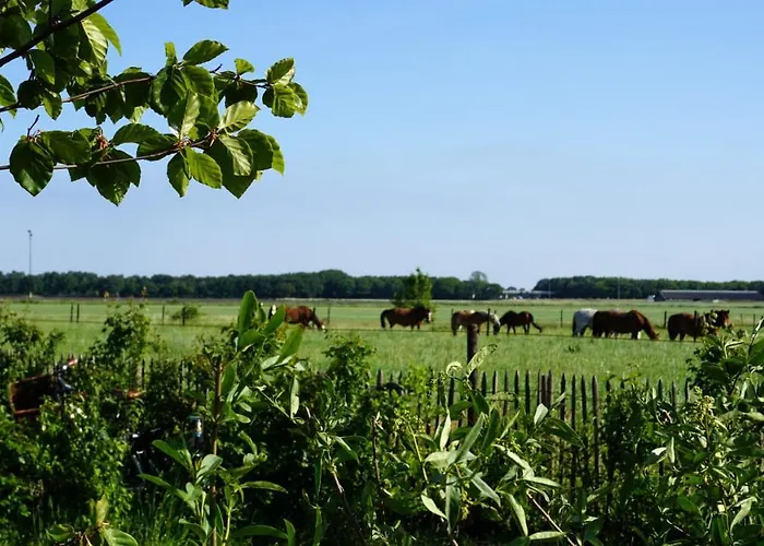 Luxussátor Luxe Safaritenten Petit013 - Nieuw *
