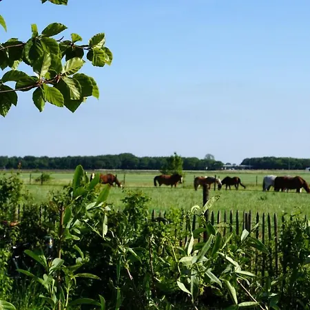 Οργανωμένο κάμπινγκ Luxe Safaritenten Petit013 - Nieuw *